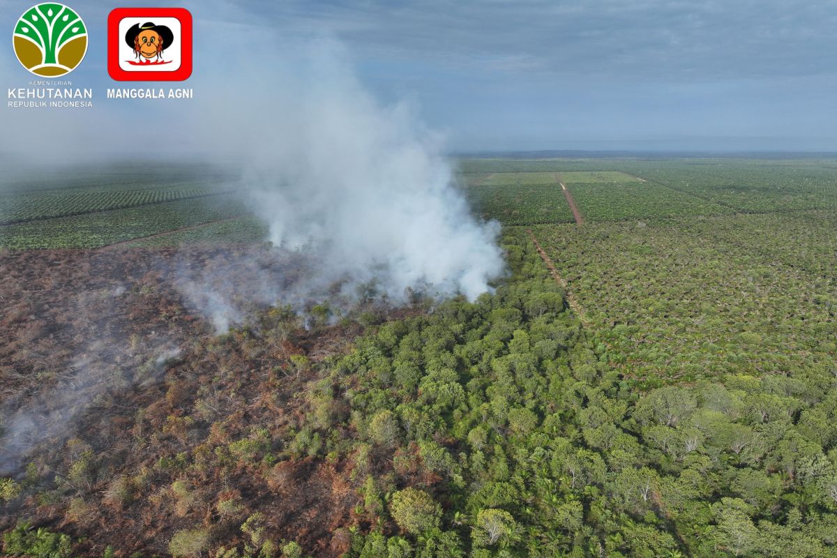 Pemprov Riau tetapkan status siaga darurat karhutla hingga 30 November 2026