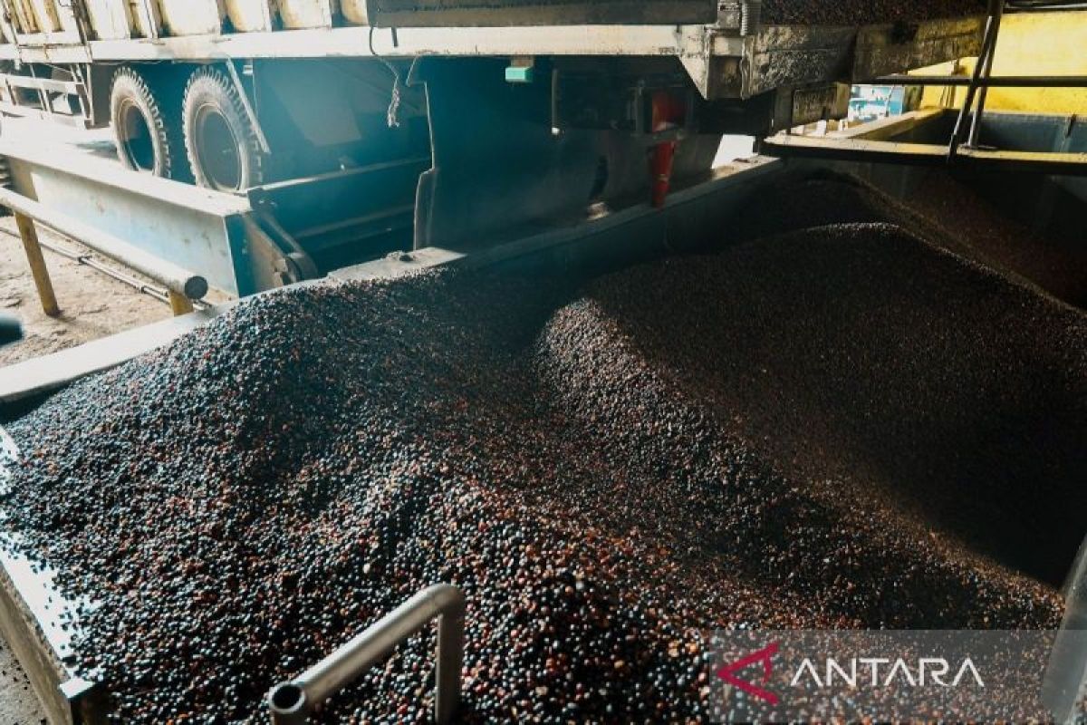 Produksi PKO PTPN IV PalmCo di Kampar Tembus 115.000 Ton Sepanjang 2025