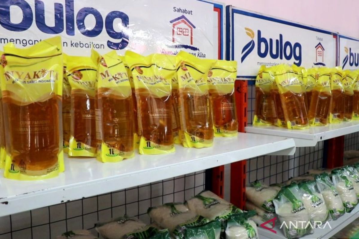 Bulog Magelang perkuat pasok komoditas pangan ke Koperasi Merah Putih