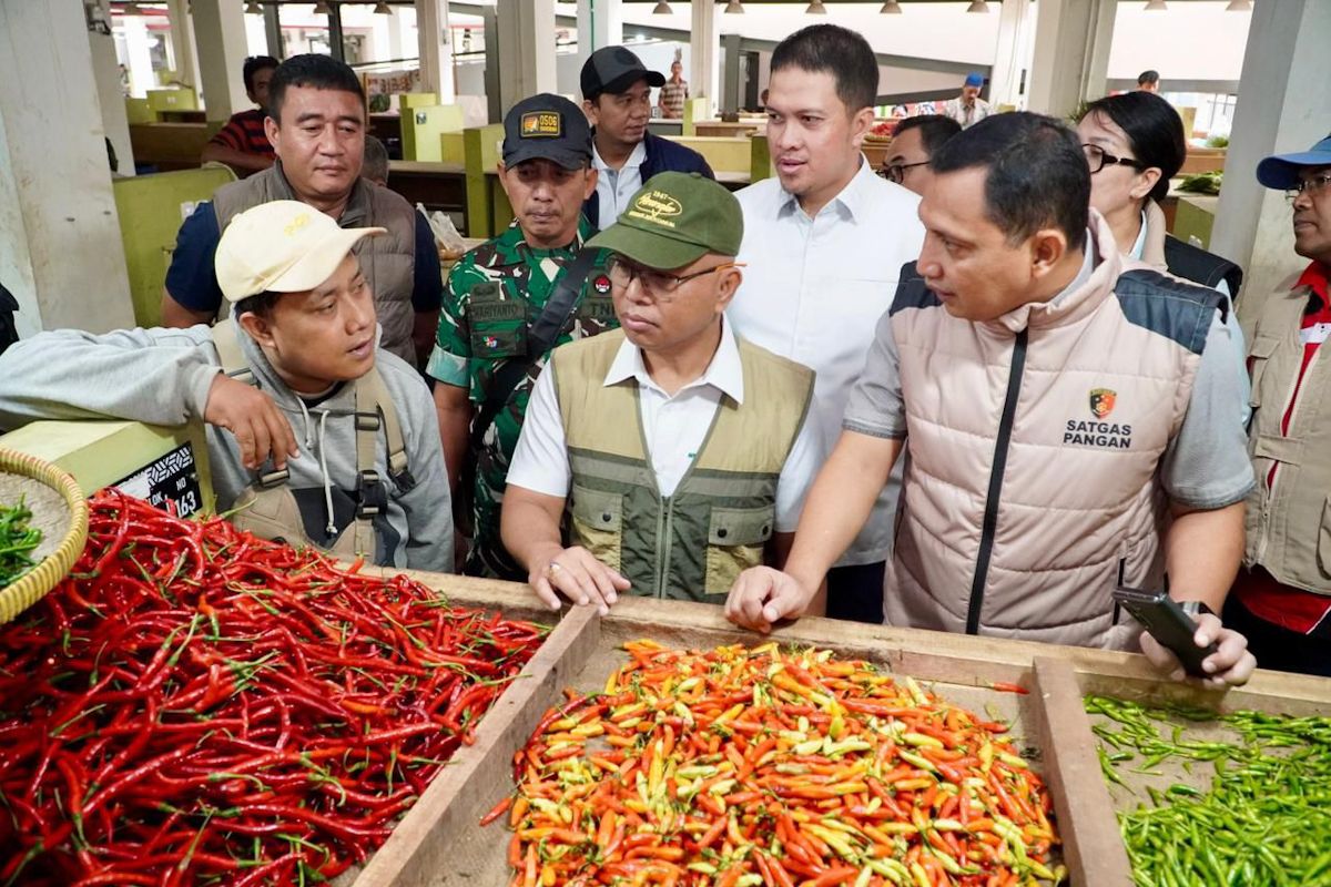 Bapanas sebut harga cabai di pasar induk Banten mulai turun