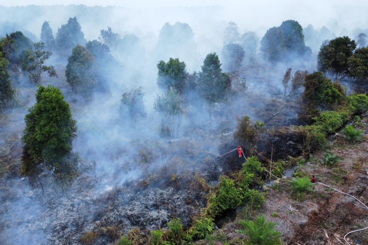 Kemenhut: Petugas pastikan karhutla tidak meluas di Riau