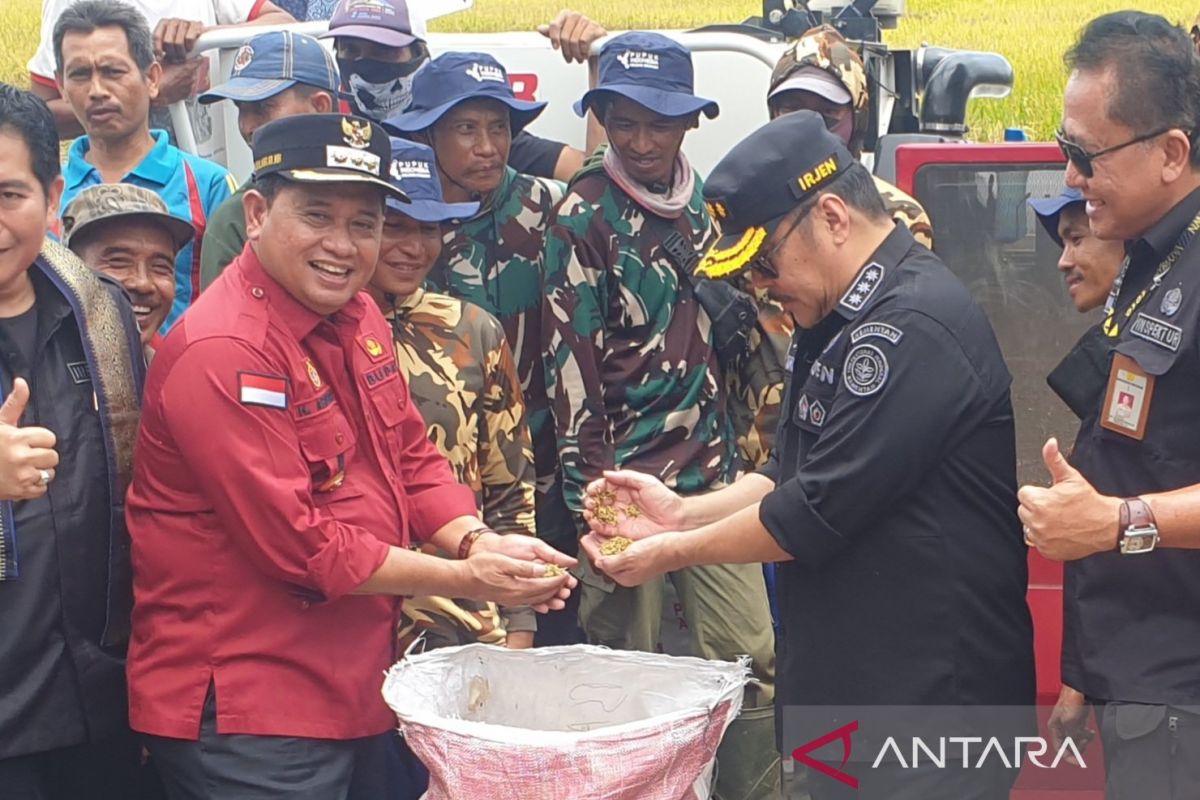 Bupati Banyuasin: Program MBG dukung penanganan kasus stunting