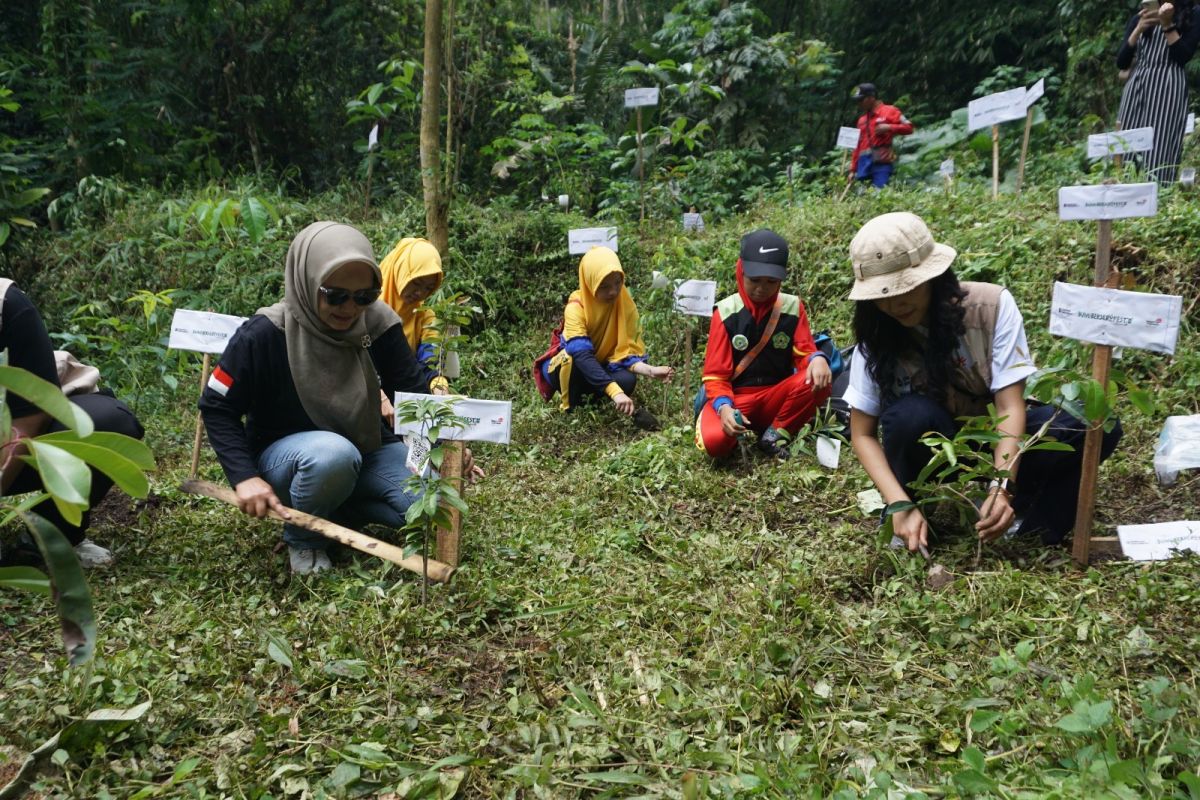 Telkom dukung kapasitas dan pendanaan hijau melalui program BBF