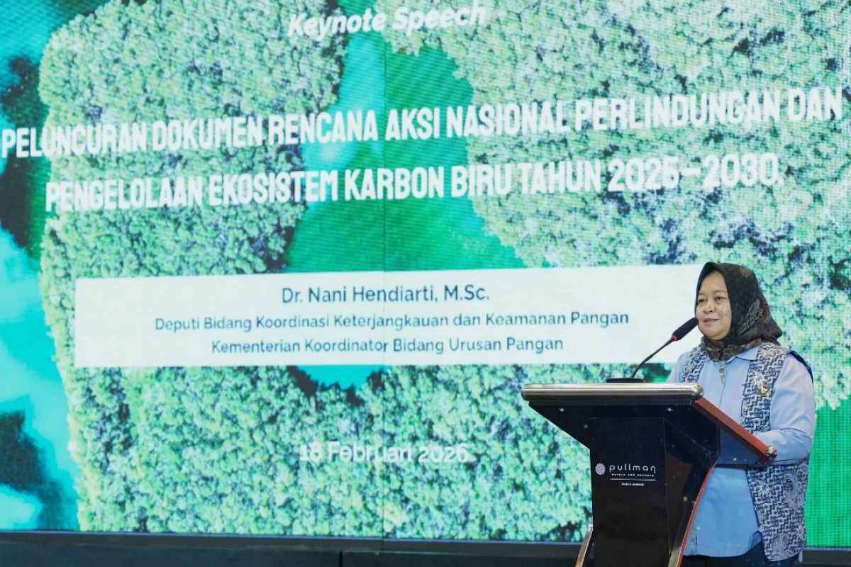 RI amankan 17 persen karbon biru dunia lewat rencana aksi 2025-2030