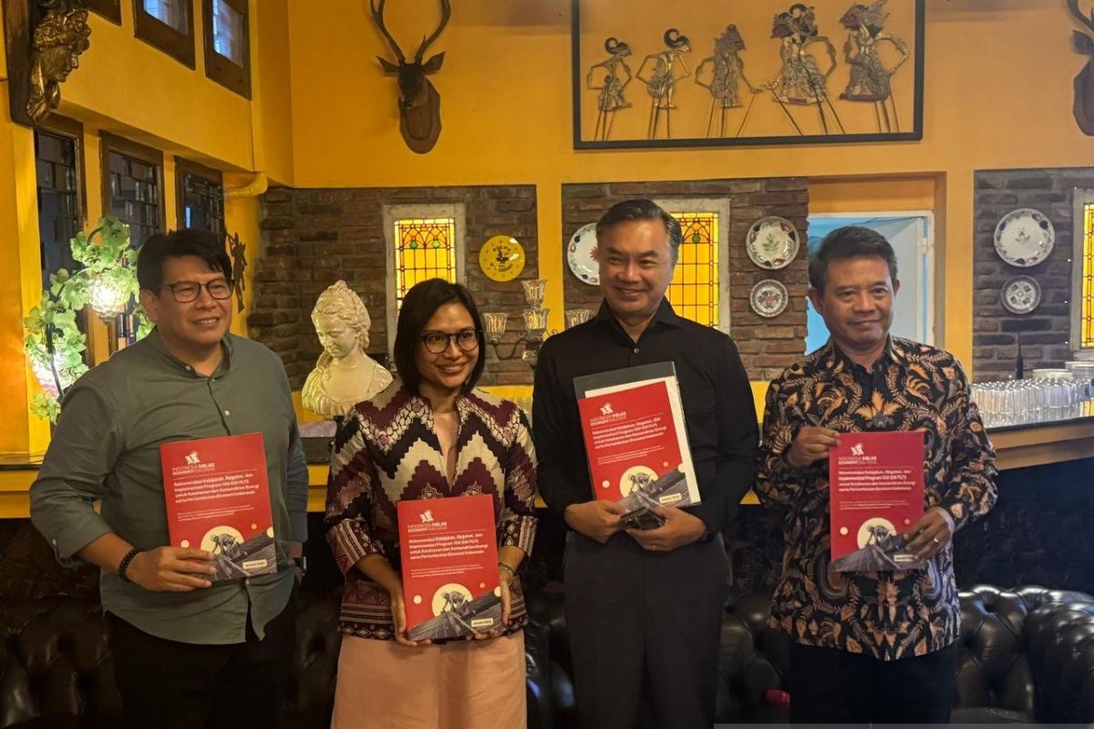 CPI Indonesia: Tata kelola kunci percepatan PLTS 100 GW