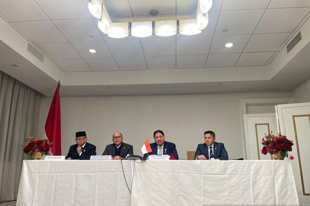 Rosan: Investasi Freeport 20 miliar dolar AS untuk perpanjangan IUPK