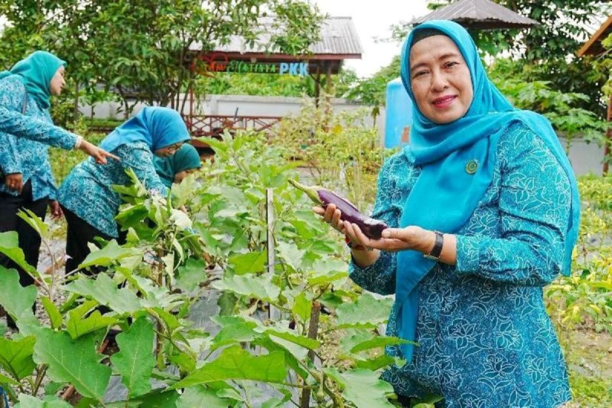 Ketua PKK Barut komitmen perkuat ketahanan pangan dan kemandirian keluarga