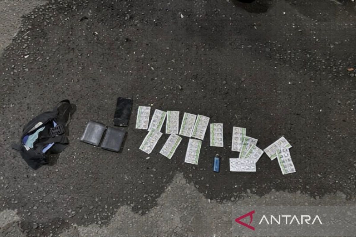 Penjelasan Guru Besar UI terkait larangan jual bebas tramadol sebagai obat keras