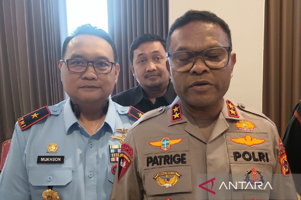 Polda Papua siap bantu TNI-AU amankan 11 lapter