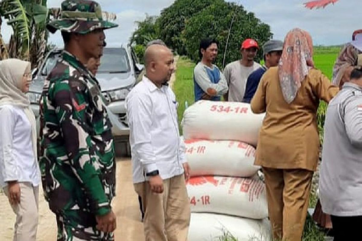 Target penyerapan gabah Bulog Kotim meningkat jadi 16 ribu ton