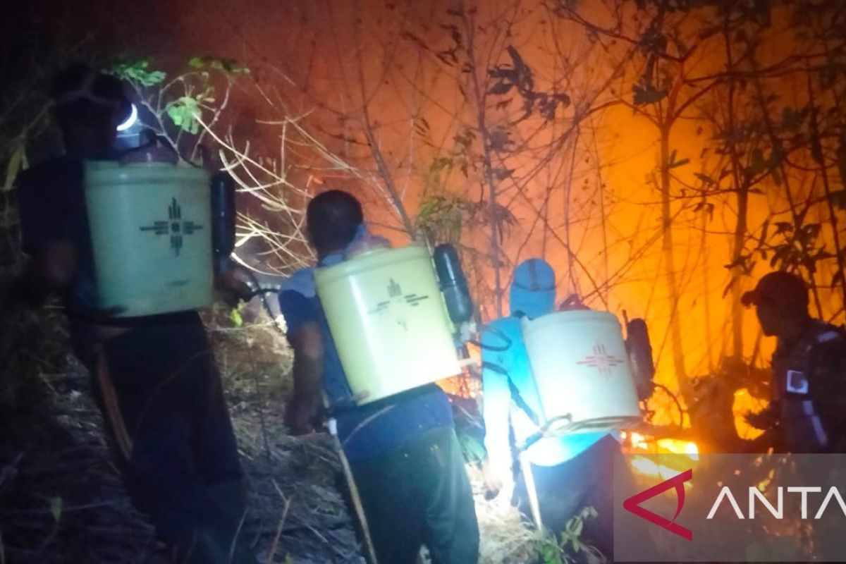 Pemkab Parigi kerahkan dua unit damkar tangani karhutla di Kasimbar