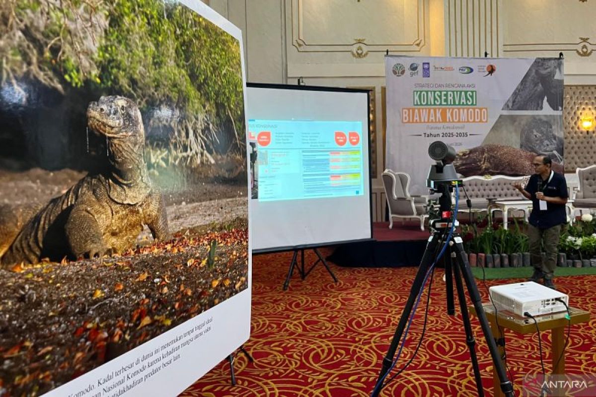 Indonesia Perkuat Perlindungan Komodo dengan Rencana Aksi Konservasi