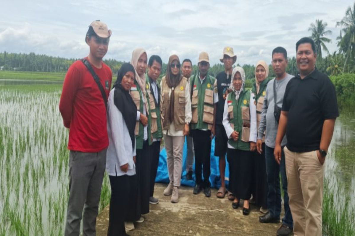 Petani di Polman alami kekeringan sawah