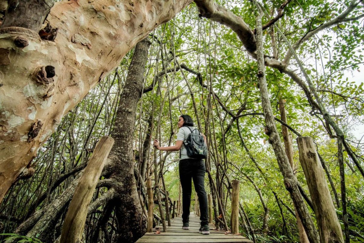 Pentingnya pariwisata berkelanjutan agar RI berdaya saing global