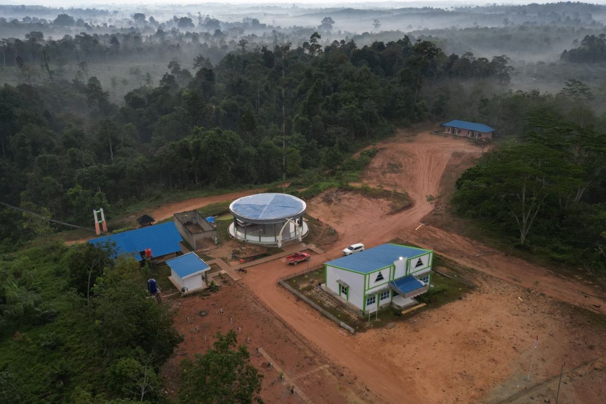 BKSDA Jambi sebut ruang jelajah spesies kunci di TNBT menyempit