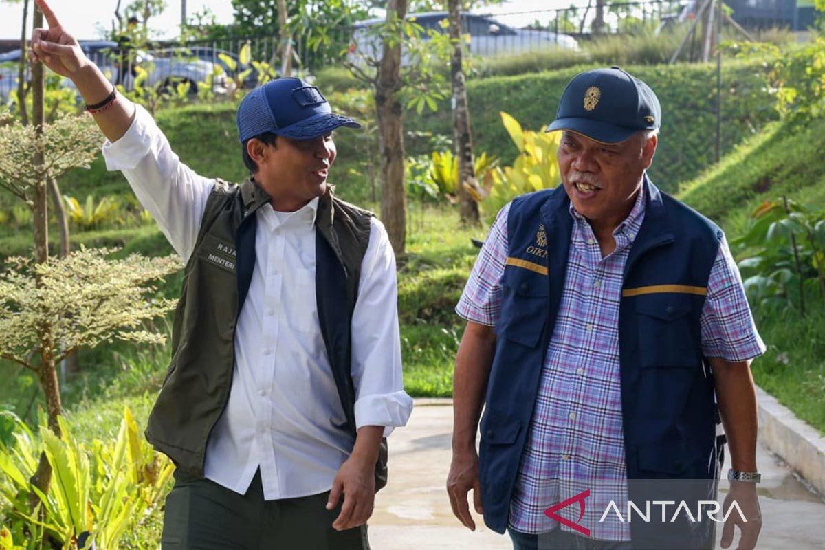 Hutan IKN 1.805 hektare hasil rehabilitasi sudah didatangi satwa