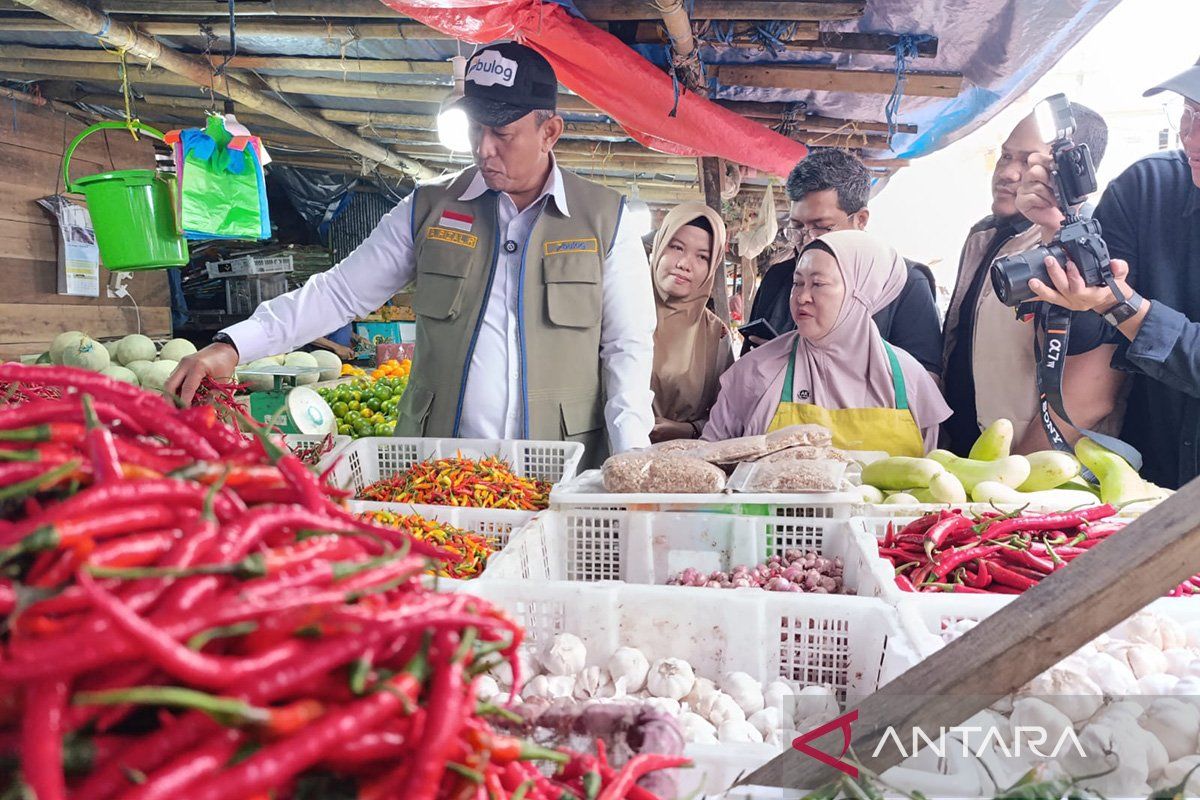 Dirut Bulog: Pengawasan rutin harga pangan jaga daya beli masyarakat