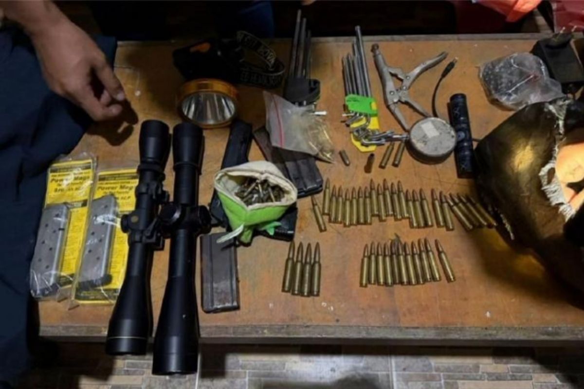 Pelaku pembunuhan gajah dengan kepala terpotong di Pelalawan akhirnya ditangkap