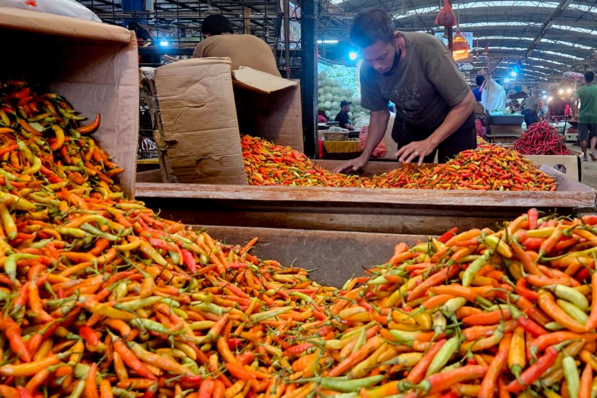Kementan: Blitar-Kediri andil pasok cabai nasional saat Ramadhan