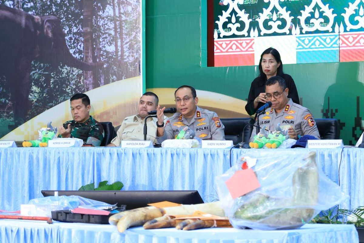 Akhir cerita sindikat perburuan gajah di Riau