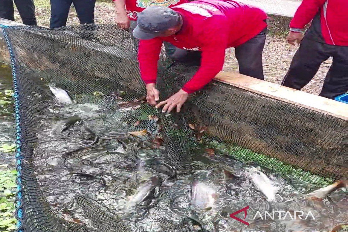 Peluang usaha perikanan di Kotim sangat menjanjikan