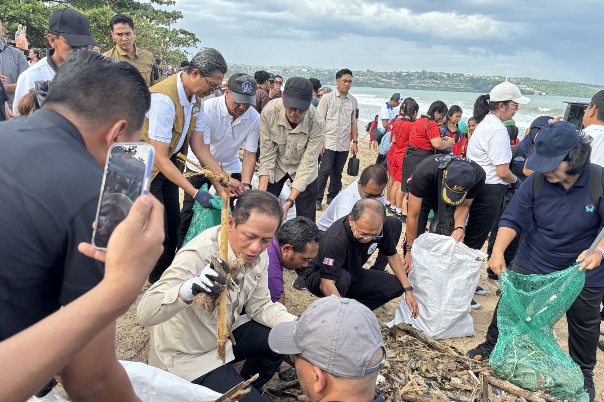 KLH izinkan kembali penggunaan insinerator khusus tangani kayu di Bali
