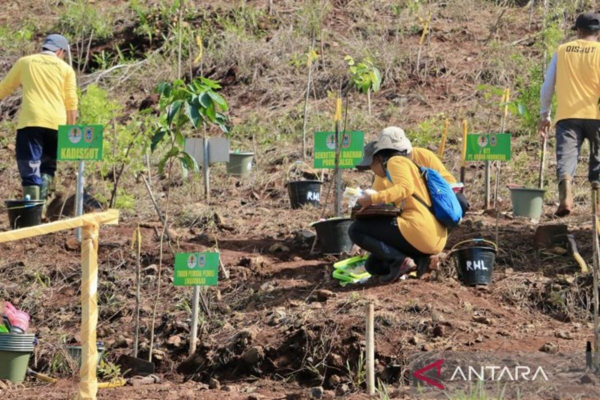 Dishut Kalsel lanjutkan RHL RBC 4 di lahan mineral dan mangrove