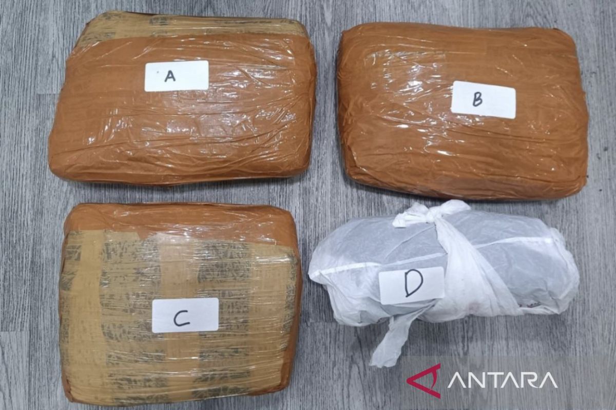 Polda Metro Jaya gagalkan peredaran 3 kg ganja di Jakpus