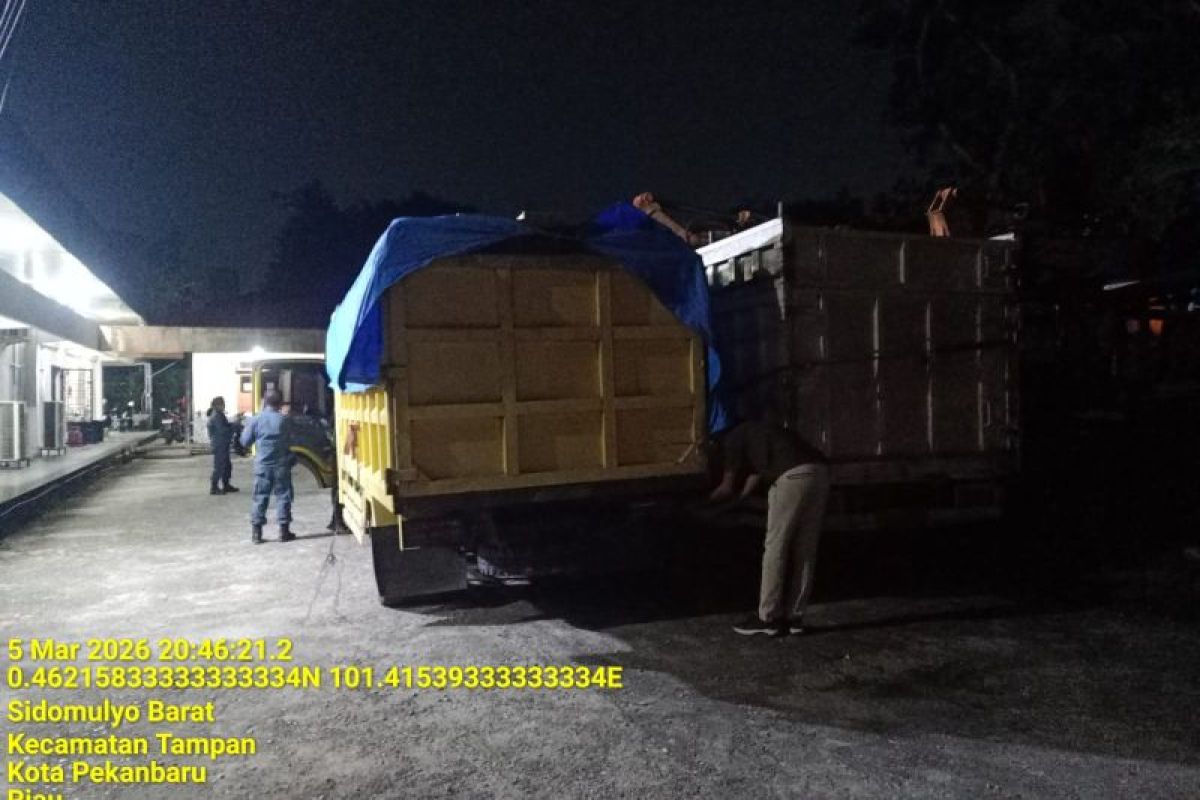 BB KSDA Riau amankan dua truk beserta sopir muat kayu ilegal dari suaka margasatwa