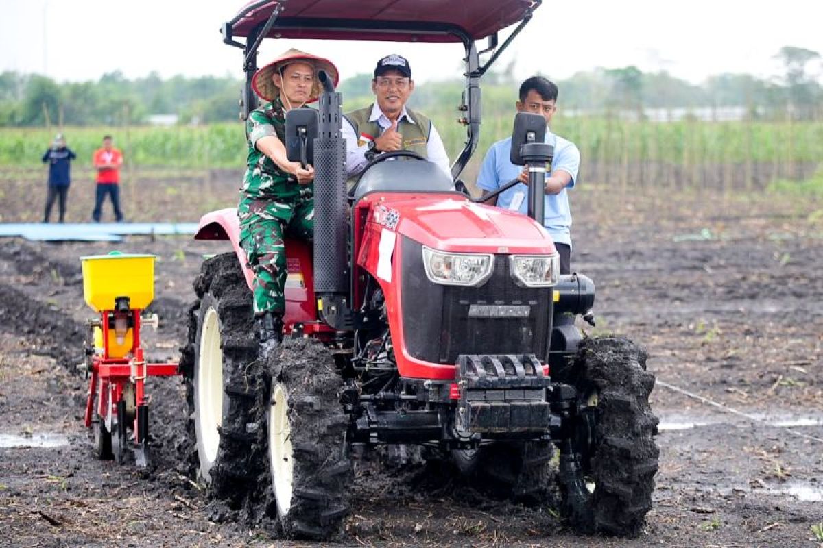 Dirut Bulog tegaskan dukung penanaman jagung demi jaga swasembada
