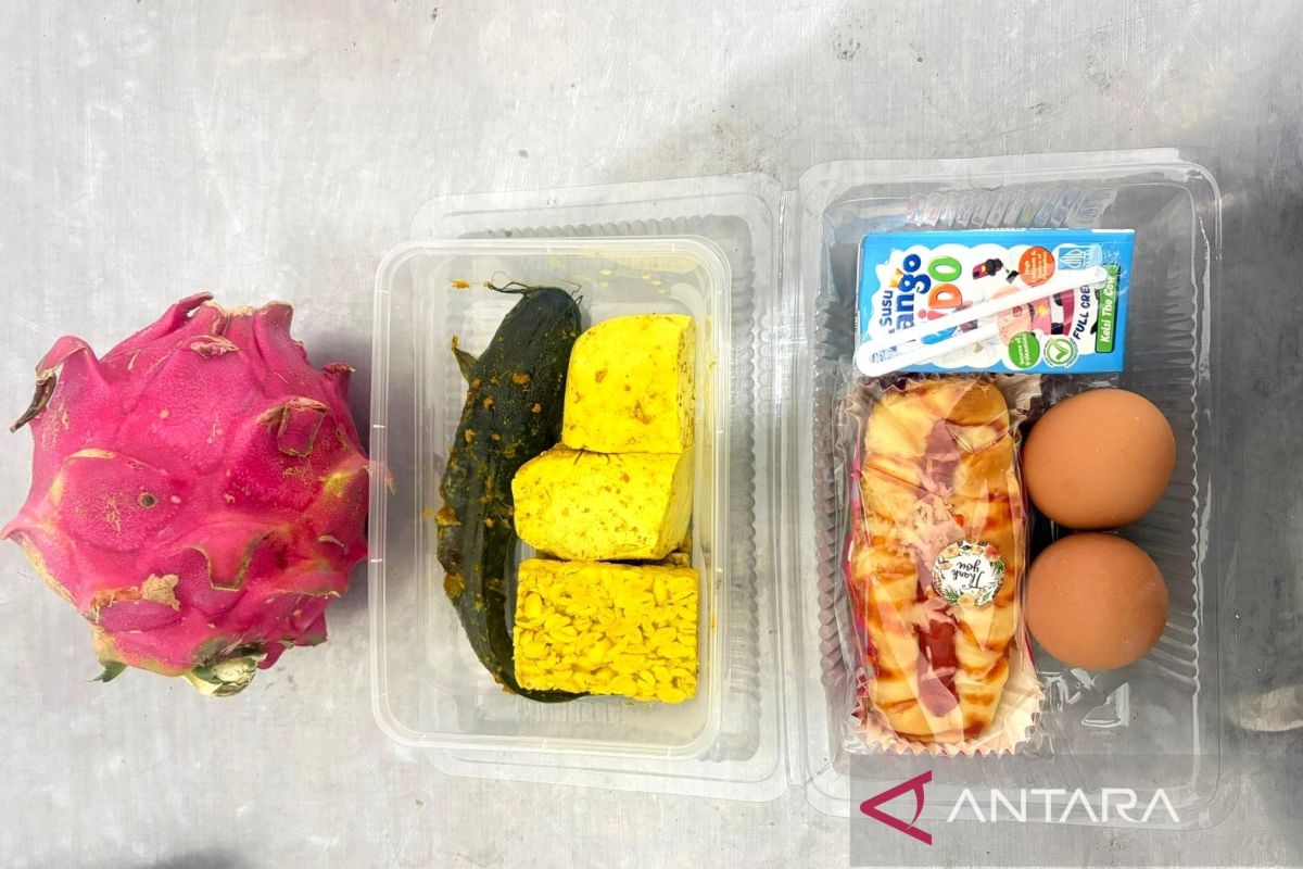 BGN Pastikan Nutrisi dan Keamanan Menu Lele dalam Program Makanan Gratis