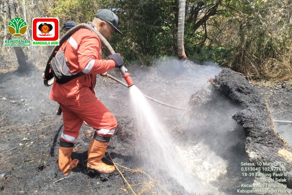Manggala Agni padamkan karhutla 13,5 hektare di Inderagiri Hilir Riau