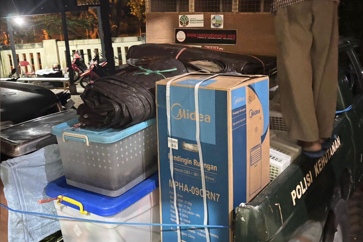 BKSDA Maluku translokasi 24 satwa hasil sitaan di Ternate