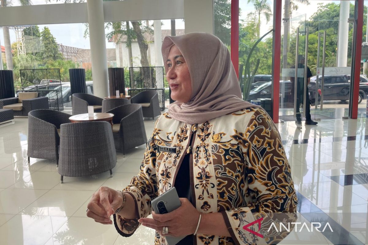 Mudik Lebaran, 20 pos kesehatan siaga di jalur tol dan Pantura Cirebon