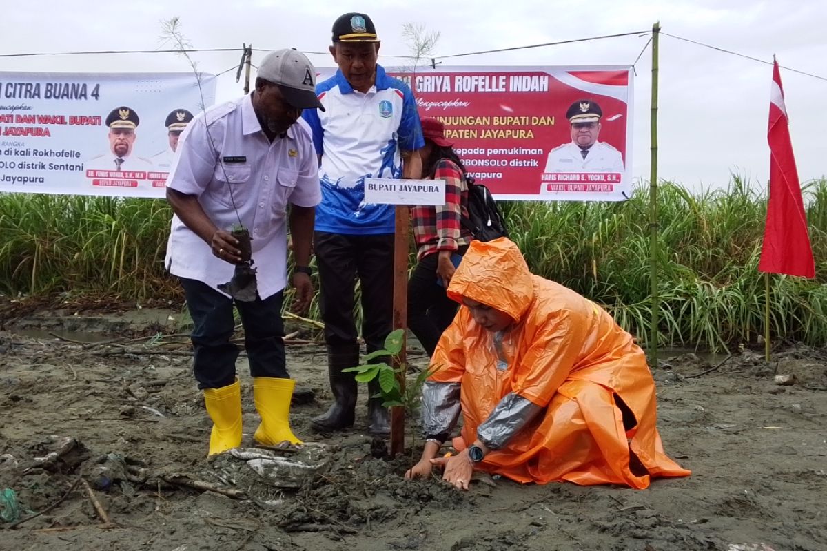Pemkab Jayapura tanam 1.000 pohon di Kelurahan Dobonsolo