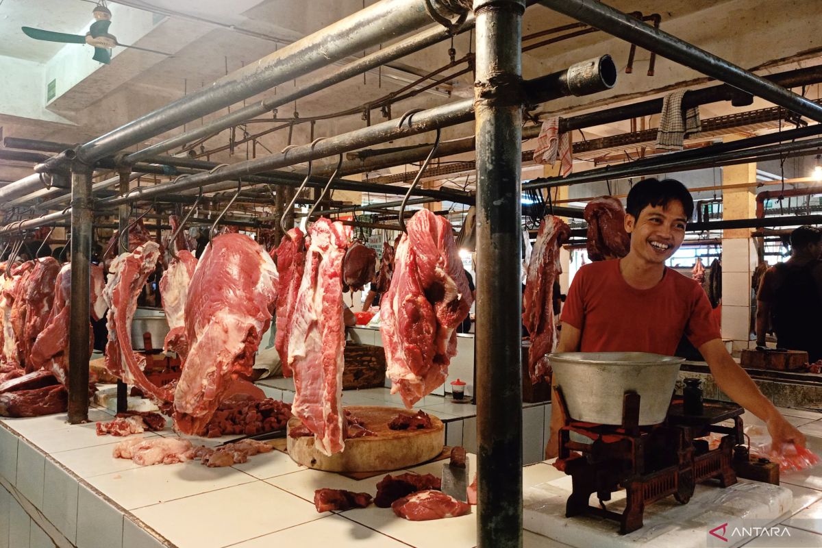 BUMN tegaskan jual daging masih di bawah harga acuan pembelian
