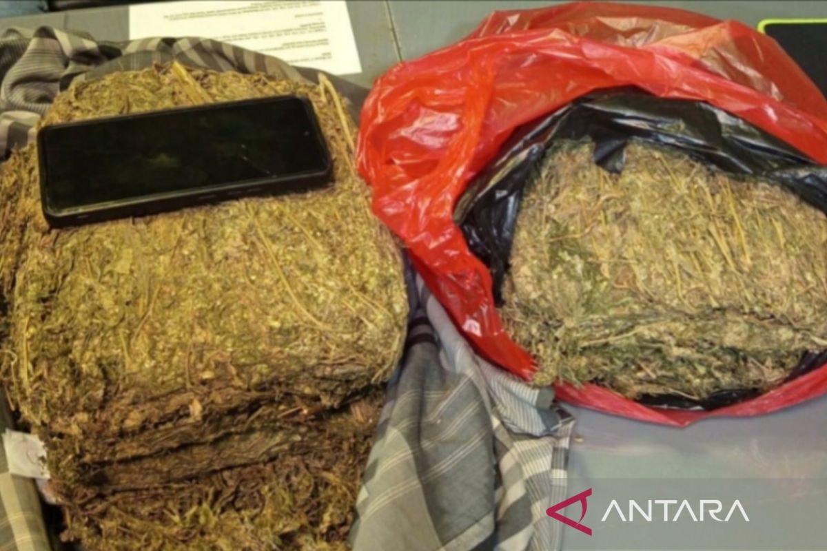 Polda Metro Jaya gagalkan peredaran 4,3 kg ganja di Depok