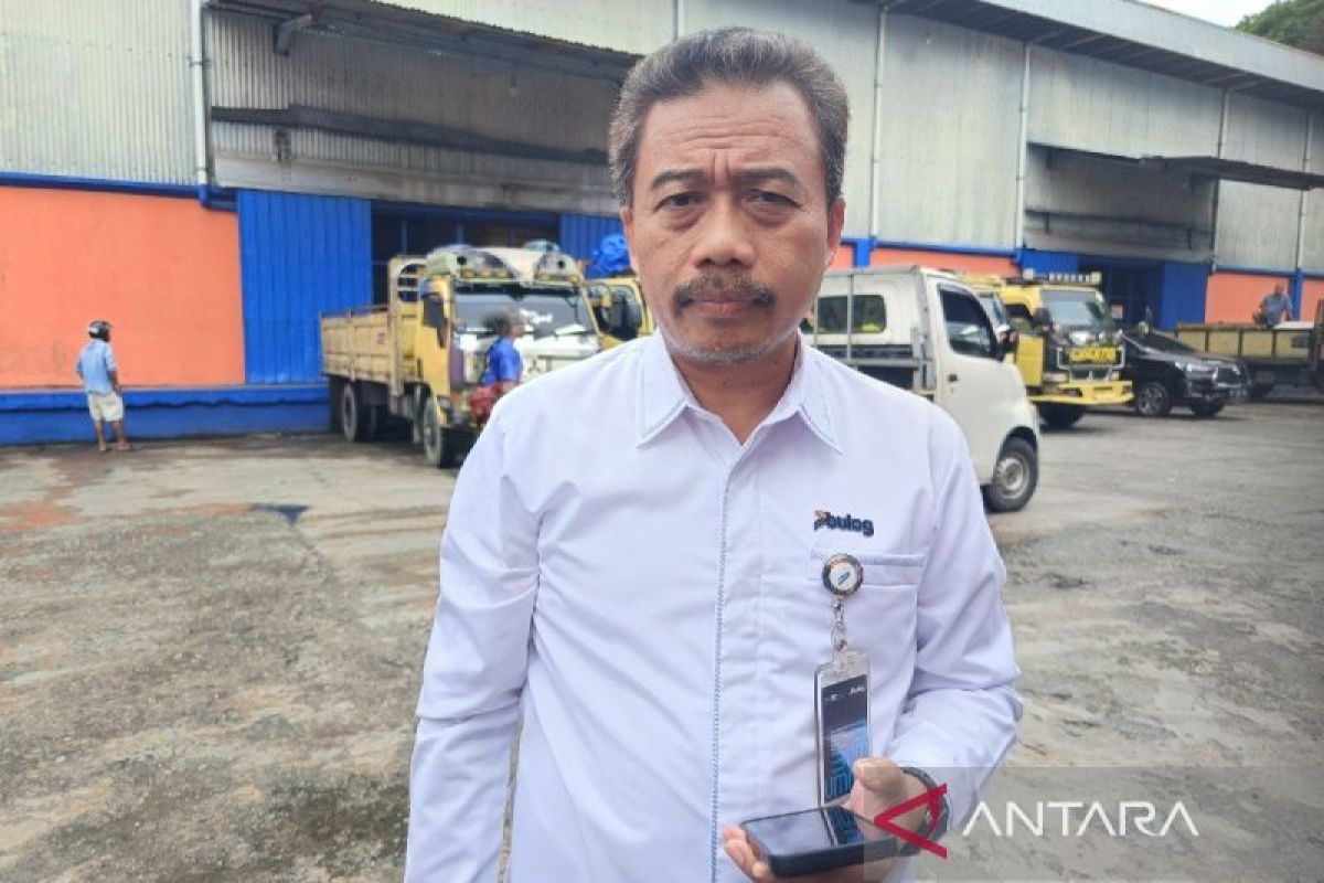 Bulog Papua beli dan tampung jagung pipilan sebanyak 85 ton