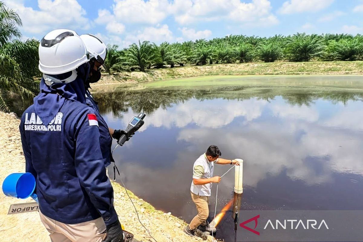Peneliti: Standar batas limbah sawit perlu dikaji ulang Kemen LH
