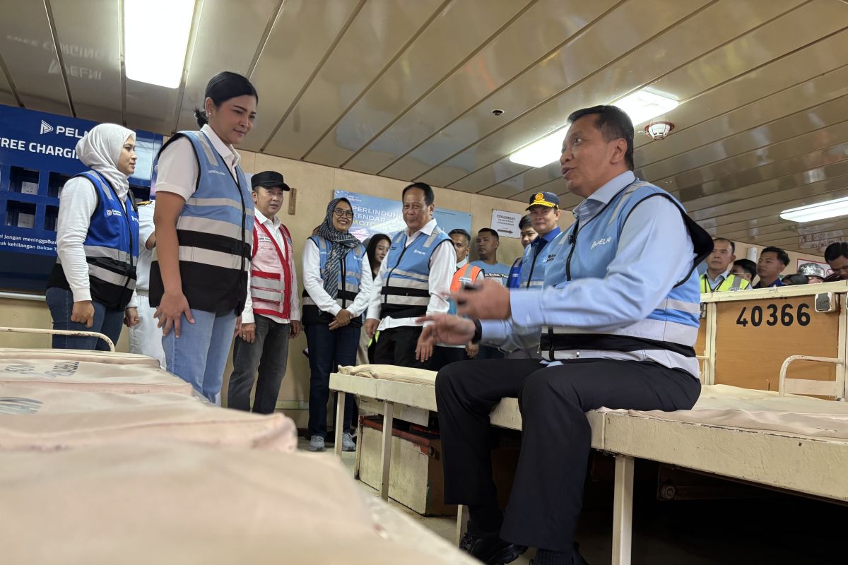 Jumlah penumpang Pelni saat puncak arus mudik capai 28 ribu orang