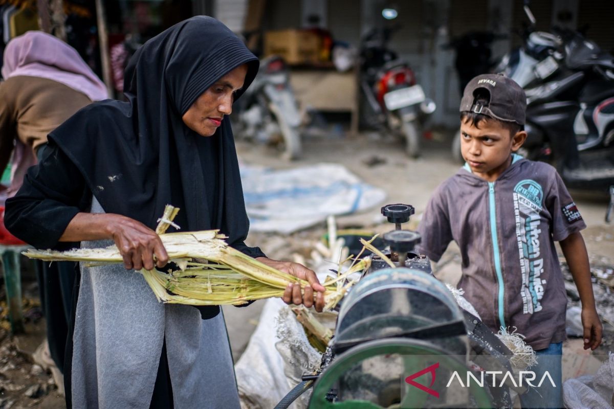 Mengobati luka bencana dengan air tebu