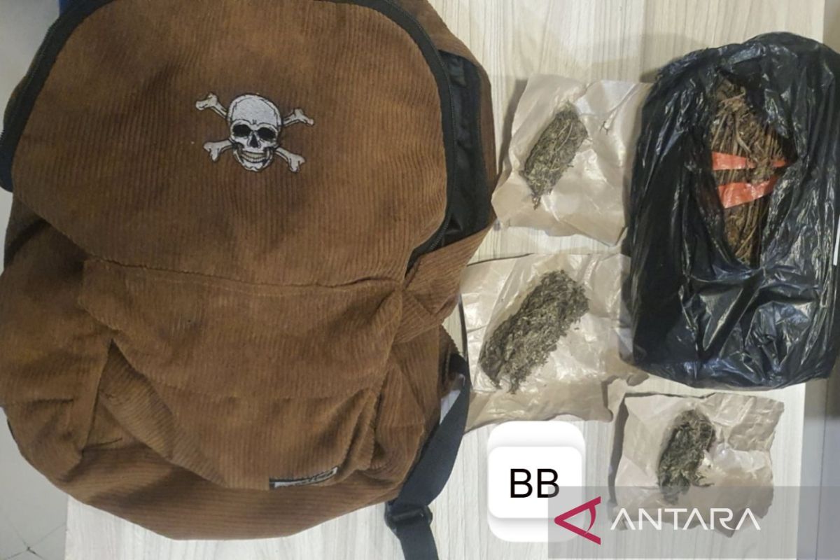 Polda Metro Jaya tangkap dua pemuda edarkan ganja di Jakpus
