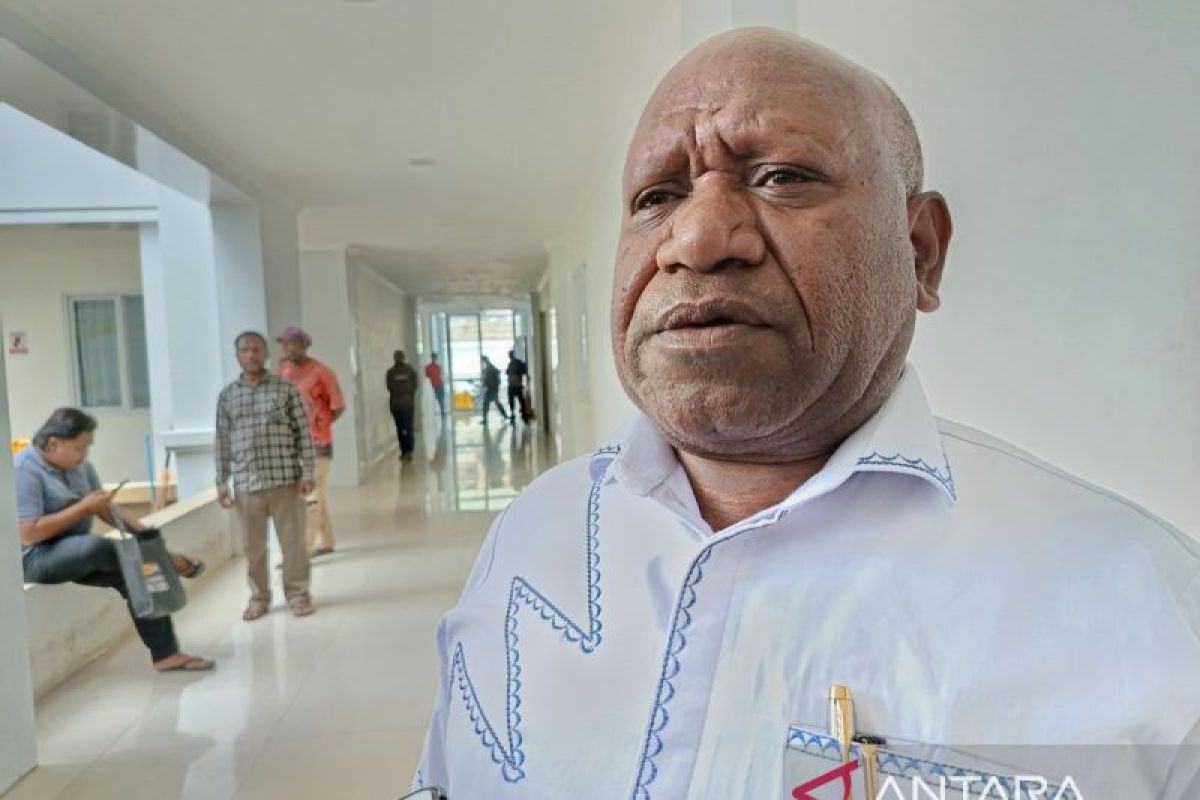 Pemkab Jayawijaya pastikan bangun 350 rumah bantuan dari Presiden