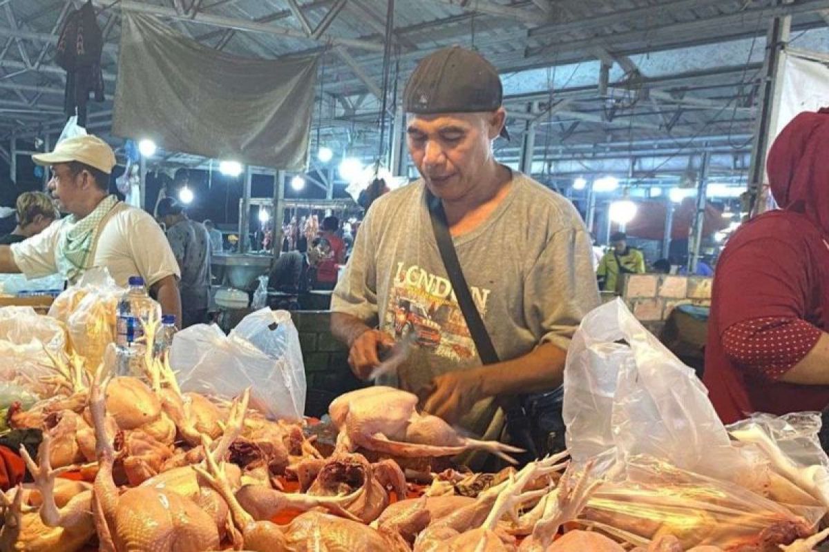 Harga daging ayam di Palembang capai Rp50.000/kg pada H-1 lebaran