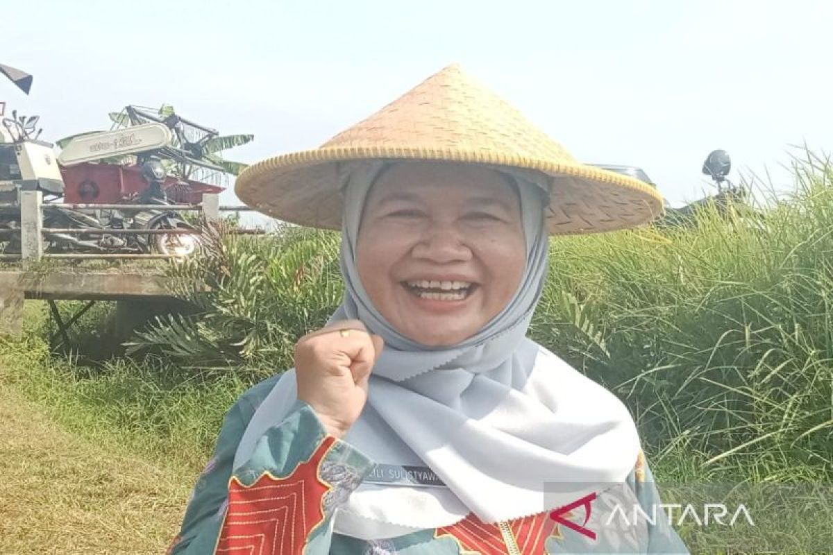 Pekalongan giatkan gerakan pemanfaatan lahan pekarangan jaga ketahanan pangan
