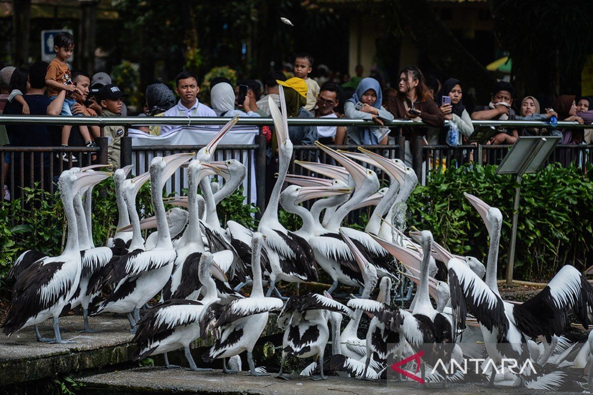 Pengunjung padati Taman Margasatwa Ragunan sejak pagi hari