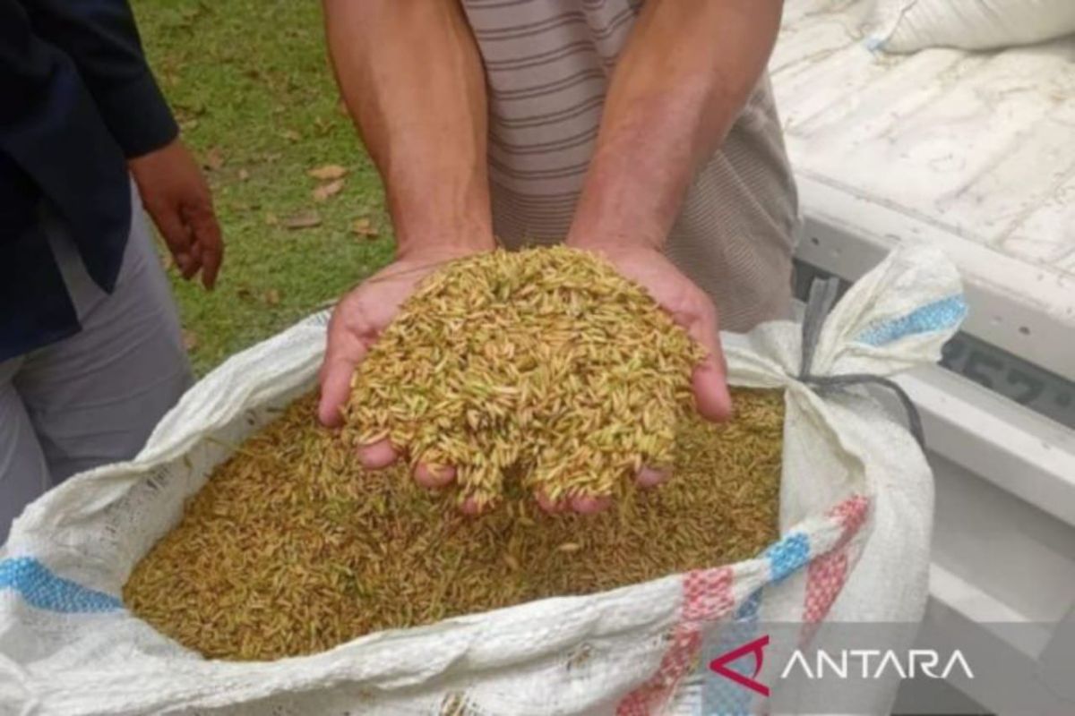 Bulog, BRIN expand tech partnership for food security