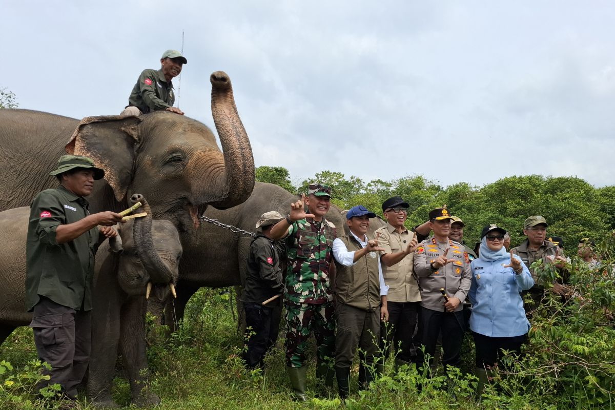 Taman Nasional Way Kambas: Percontohan Pendanaan Iklim Inovatif