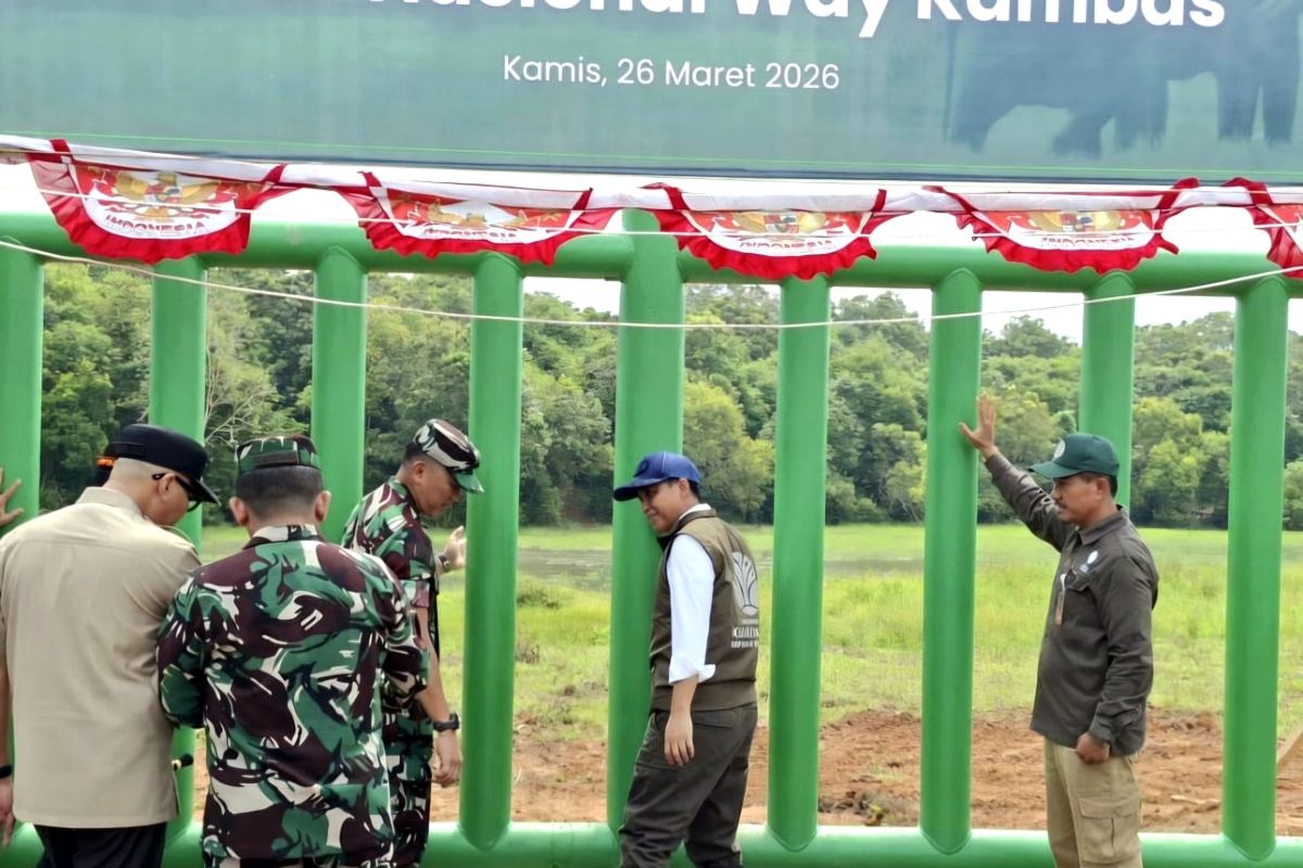 Menhut: Pagar pembatas TNWK ditargetkan selesai dalam empat bulan