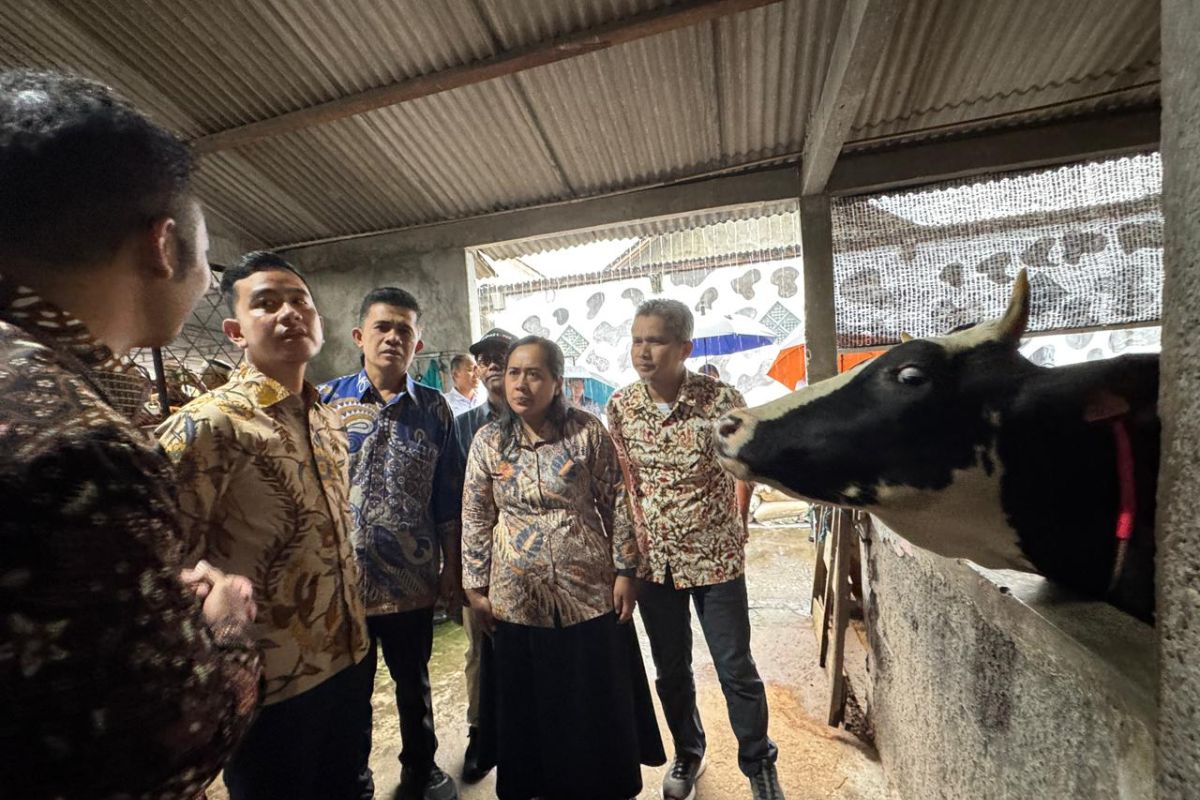 Wapres Gibran tekankan hilirisasi industri peternakan di Boyolali